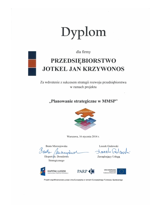Wdrożenie strategii rozwoju Przedsiębiorstwa w ramach projektu Planowanie strategiczne w MMSP